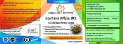 Boerhavia Diffusa 10:1 Extract Capsules PUNARNAVA For Kidney & Liver tonic