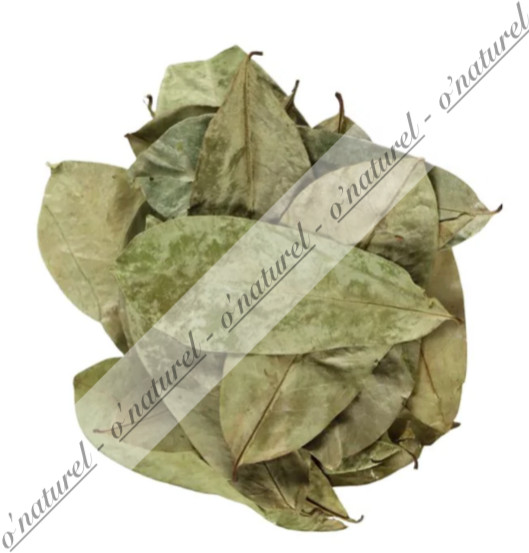 Soursop Leaves Dried Graviola ORGANIC 100% Natural 80g Hoja de Guanábana
