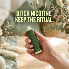 MULLY Mullein Diffuser Plant-Based Nicotine Free Mint ,Berry ,Menthol,Peach,Toba