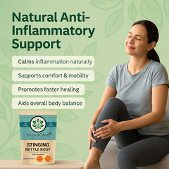 Stinging Nettle Root Caps 5500mg-(5% Lingnans&2% β-Sitosterol)-100%Vegan-180Caps