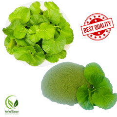 Dried Gotu Kola Leaves Ground Powder Organic Centella asiatica for Hair Growth