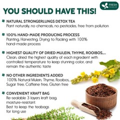 75 Tea Bags – Mullein Leaf, Ginseng, Elderberry, Ginger & Thyme – Lung Cleanse,