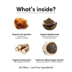 Organic Sea Moss Capsules – Irish Sea Moss Bladderwrack Burdock Root