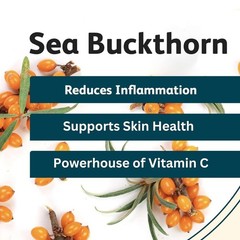 100% Natural Sea Buckthorn Berry Powder 200gm for Skin, Immunity, Gut & Heart