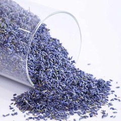 8 Cups Lavender in Large Glass Bottle, Highland Dried Lavender Flower Buds,