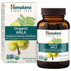 Amla Orgánica en Polvo y Extracto de Fruta 600mg – 60 Capletas, 1 Mes