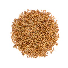 Organic Alfalfa Seeds for Sprouting – Non-GMO, Sproutable – by Food To Live