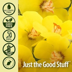 Mullein Tea Herbal Mullein Leaf Tea Bags Natural for Lung Cleanse & Detox