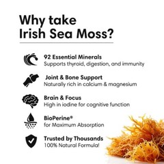 Organic Sea Moss Capsules – Irish Sea Moss Bladderwrack Burdock Root