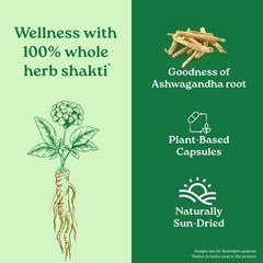 Organic India Ashwagandha 60 Veg Capsules 400mg Ayurvedic Herbal 5 Pack Energy