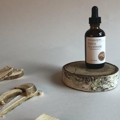 BIRCH POLYPORE MUSHROOM – TINCTURE