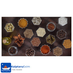 Patil Foods Holarrhena Pubescens | Karva Indrajau | Bitter Oleander Whole Herb