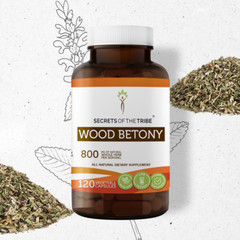 Secrets Of The Tribe Wood Betony Capsules, 400 mg