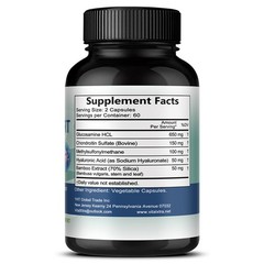 Glucosamine Chondroitin Msm Hyaluronic Acid Joint Health Support 30-120 Pills