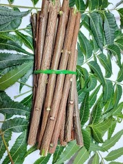 Ayurvedic Natural Organic Neem Datun Toothbrush Tree Twigs Chew Sticks 100 Pcs