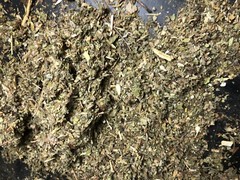 No.22 Herbal Blended Mix – Damiana Marshmallow Mullein Wild Lettuce