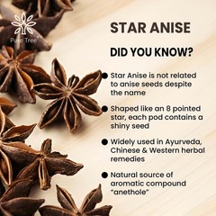 Organic Whole Anise Stars 100% Pure, Non-GMO Illicium Verum, Culinary & Digest