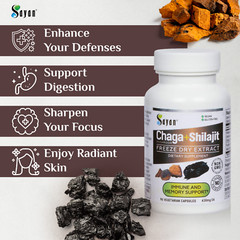 Chaga Mushroom & Shilajit Supplement 90 Caps Siberian Natural Immune Support