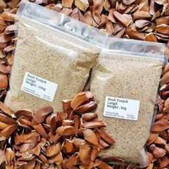 SKY FRUIT SEED (SWIETENIA MACROPHYLLA) – 100% Natural Herbal Supplement MALAYSIA