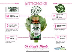 6 ALCACHOFA WEIGHT LOSS ANTIOXIDANT DETOX DIGESTIVE LIVER HEALTH FAT LOSS PILLS