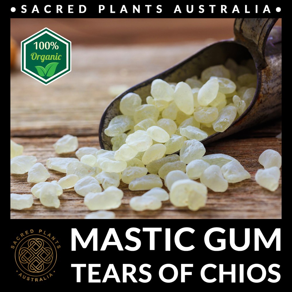MASTIC GUM Resin 25g Tears of Chios | Pistacia Lentiscus Sacred Shaman Medicinal