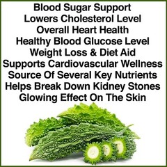 180 X BITTER MELON PILLS SUGAR SUPPORT GLUCOSE LEVELS CAPSULES LOWER CHOLESTEROL