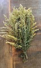 Dried Goldenrod