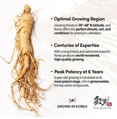 Korean Red Ginseng (6-Year Root) (Enhanced Ginsenoside) 120 Vegan Caps Exp:08/26