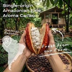 U Chocolate Organic Cacao Powder Natural Fresh From our Farm 1 bag 16 oz