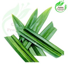 Pandan Leaves ground powder Dried Organic Pandanus amaryllifolius Screwpine herb