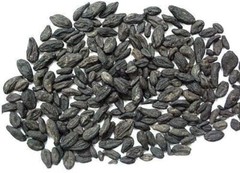Kali Harad – Black Himej – Myrobalan – Terminalia Chebula Whole & Powder