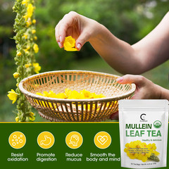 28/60 DAY Mullein Leaf Tea for Lungs Cleanse & Immune Support,100% Natural