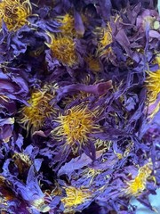 Blue Lotus |Nymphaea Caerulea| 100% Organic Herbal Hand Picked Flowers Tea