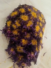 Blue Lotus |Nymphaea Caerulea| 100% Organic Herbal Hand Picked Flowers Tea