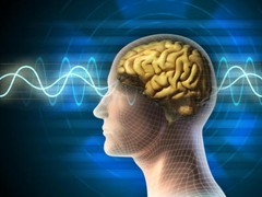dopamine & serotonin supplements – L DOPA MUCUNA EXTRACT 350MG – mucuna mood 1B