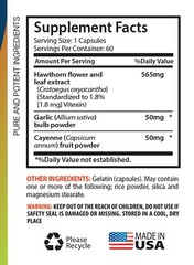 Hawthorn Berry Extract (1 Bottle, 60 Capsules)