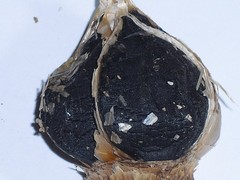 2x Doug’s black fermented)garlic 100g (about4oz) polyphenoles,and S-allylcystei