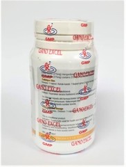 2 Bottles Gano Excel Ganoderma 90 Capsules Reishi Lingzhi Boosts Immune NEW USA