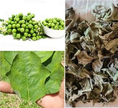 Sun Dried Turkey Berry leaves Herbal 100% Natural 25g – 0.88Oz Free Shipping