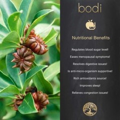 Anise Star Essential Oil | 1-4 floz | 100% Pure Natural Hand Crafted