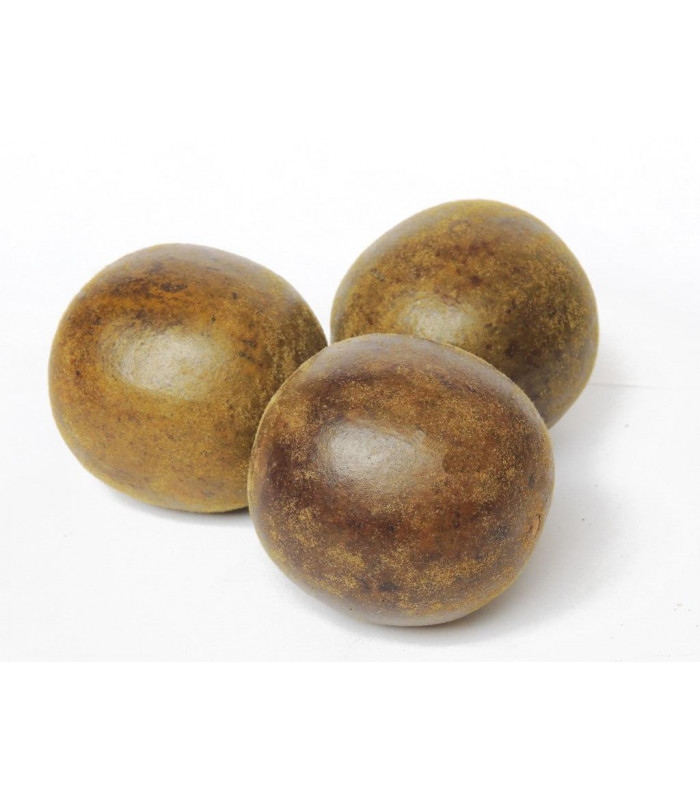 3 LUO HAN GUO MONK FRUIT SIRAITIA GROSVENORII 羅漢果 US SELLER FAST FREE SHIPPING!