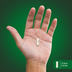 Boswellia Serrata Extract | 1200mg | 180 Capsules | Complex | by Piping Rock
