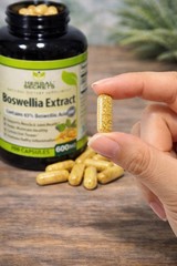 BOSWELLIA EXTRACT 65% BOSWELLIC ACIDS 250 CAPSULES HERBAL SECRETS SUPPLEMENT