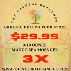 9-10oz – 3 Pack of Mango Sea Moss Gel