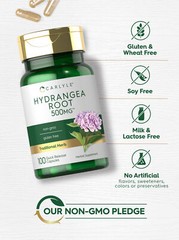 Hydrangea Root Capsules | 1000mg | 100 Count | Non-GMO, Gluten Free | by Carlyle