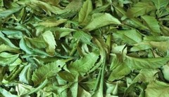 Neem Powder Azadirachta Indica Hojas De Neem Leaves Dried Natural Herbal Leaves