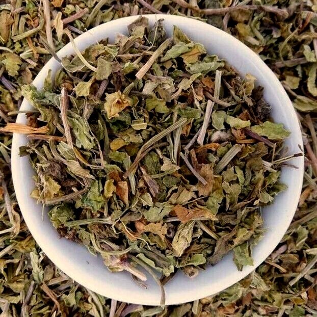 Gotu Kola Wild Crafted Cut ~ Freshly Packed USA Free Ship
