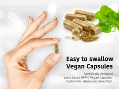 DR WAKDE’S Sariva & Manjistha Capsules | 60 Veg Caps | Ayurvedic Supplement |…