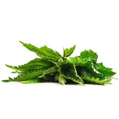 Nettle Leaf Tea Bags 150 Count (3-Pack) | Herbal Caffeine-Free Tea | Bulk Zokiva