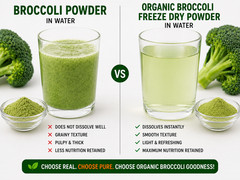 Organic Broccoli Powder Freeze Dried 500g Pure Non GMO Vegan Gluten Free
